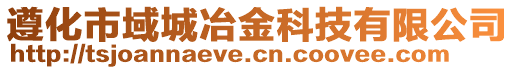 遵化市域城冶金科技有限公司