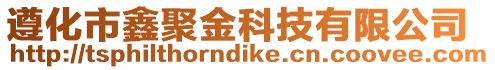 遵化市鑫聚金科技有限公司