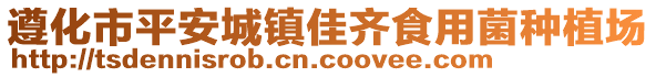 遵化市平安城鎮(zhèn)佳齊食用菌種植場