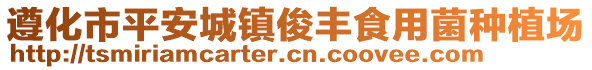 遵化市平安城鎮(zhèn)俊豐食用菌種植場