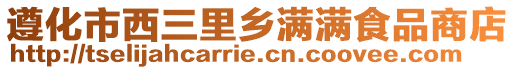 遵化市西三里鄉滿滿食品商店