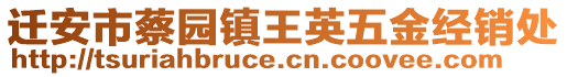 遷安市蔡園鎮(zhèn)王英五金經(jīng)銷處