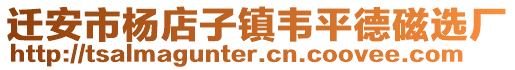 遷安市楊店子鎮(zhèn)韋平德磁選廠