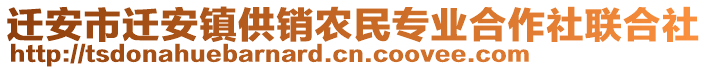 迁安市迁安镇供销农民专业合作社联合社