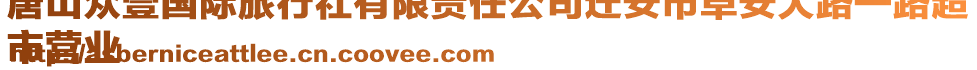 唐山眾壹國際旅行社有限責(zé)任公司遷安市阜安大路一路超
市營業(yè)