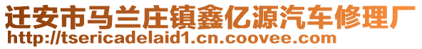 遷安市馬蘭莊鎮(zhèn)鑫億源汽車修理廠