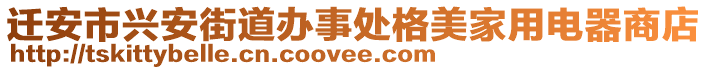 遷安市興安街道辦事處格美家用電器商店