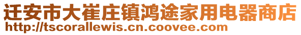 遷安市大崔莊鎮(zhèn)鴻途家用電器商店