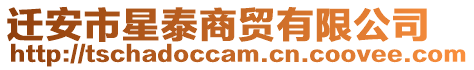 遷安市星泰商貿有限公司