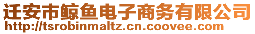遷安市鯨魚電子商務有限公司