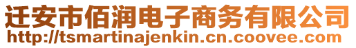 遷安市佰潤電子商務(wù)有限公司