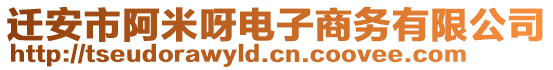 遷安市阿米呀電子商務(wù)有限公司