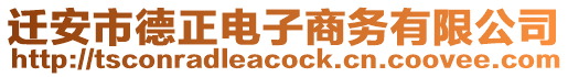 遷安市德正電子商務有限公司