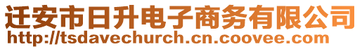 遷安市日升電子商務有限公司