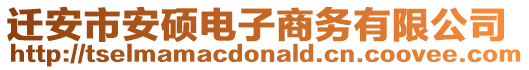 遷安市安碩電子商務有限公司