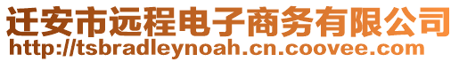 遷安市遠程電子商務有限公司