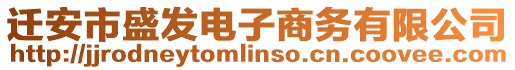 遷安市盛發電子商務有限公司