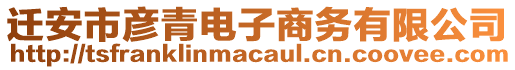 遷安市彥青電子商務有限公司