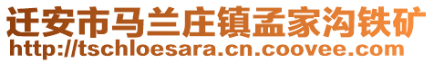 遷安市馬蘭莊鎮(zhèn)孟家溝鐵礦