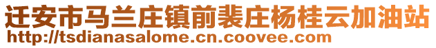 迁安市马兰庄镇前裴庄杨桂云加油站