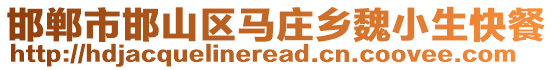 邯鄲市邯山區(qū)馬莊鄉(xiāng)魏小生快餐