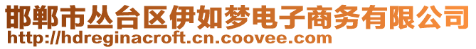 邯鄲市叢臺區(qū)伊如夢電子商務(wù)有限公司