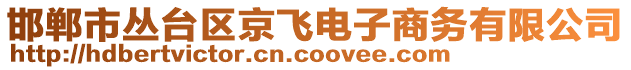 邯鄲市叢臺區(qū)京飛電子商務(wù)有限公司