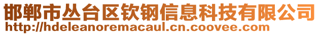 邯鄲市叢臺(tái)區(qū)欽鋼信息科技有限公司