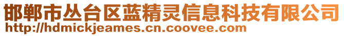 邯鄲市叢臺區(qū)藍(lán)精靈信息科技有限公司