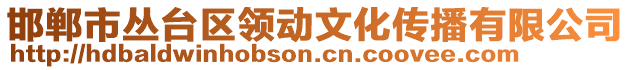 邯鄲市叢臺(tái)區(qū)領(lǐng)動(dòng)文化傳播有限公司