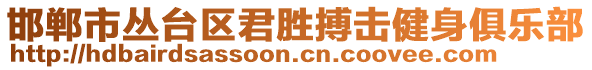 邯鄲市叢臺(tái)區(qū)君勝搏擊健身俱樂部