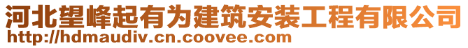 河北望峰起有為建筑安裝工程有限公司