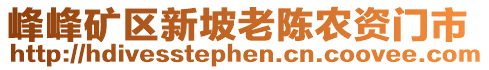 峰峰矿区新坡老陈农资门市