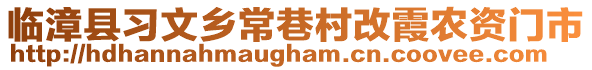 臨漳縣習(xí)文鄉(xiāng)常巷村改霞農(nóng)資門市