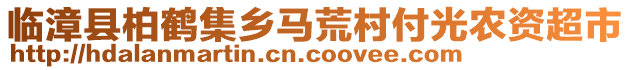 临漳县柏鹤集乡马荒村付光农资超市