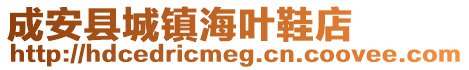 成安县城镇海叶鞋店