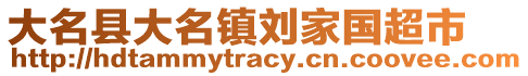 大名县大名镇刘家国超市