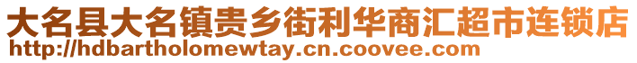 大名县大名镇贵乡街利华商汇超市连锁店