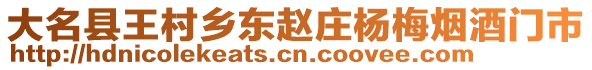 大名縣王村鄉(xiāng)東趙莊楊梅煙酒門(mén)市