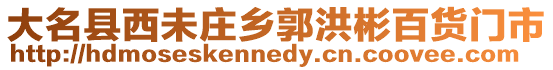 大名縣西未莊鄉(xiāng)郭洪彬百貨門市
