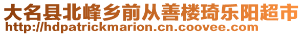 大名縣北峰鄉(xiāng)前從善樓琦樂陽超市