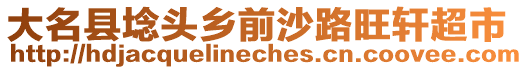 大名縣埝頭鄉(xiāng)前沙路旺軒超市