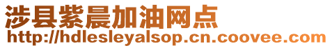 涉縣紫晨加油網點