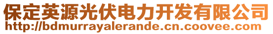 保定英源光伏電力開發(fā)有限公司