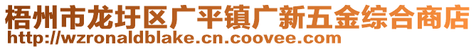 梧州市龍圩區(qū)廣平鎮(zhèn)廣新五金綜合商店