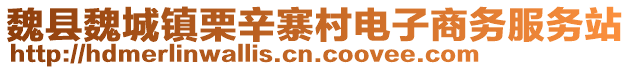 魏县魏城镇栗辛寨村电子商务服务站