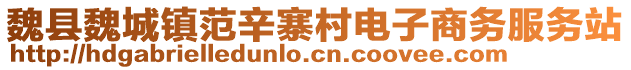 魏县魏城镇范辛寨村电子商务服务站