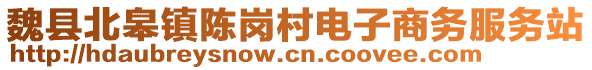 魏縣北皋鎮(zhèn)陳崗村電子商務(wù)服務(wù)站