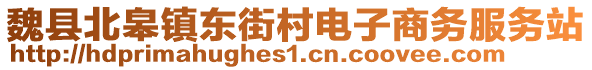 魏縣北皋鎮(zhèn)東街村電子商務(wù)服務(wù)站