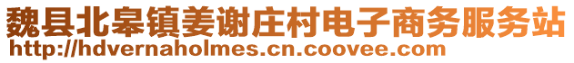 魏縣北皋鎮(zhèn)姜謝莊村電子商務(wù)服務(wù)站